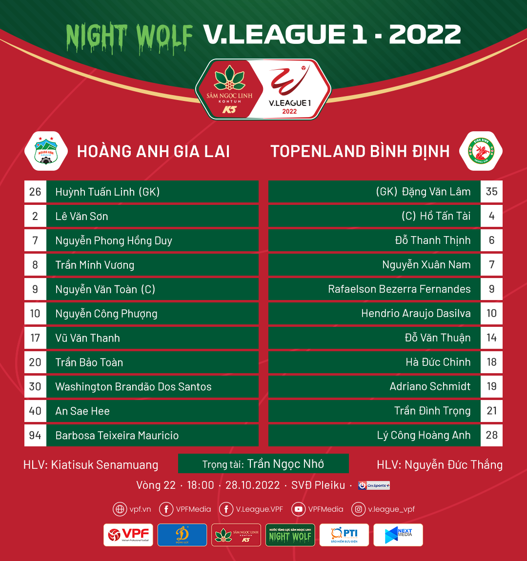 hagl vs binh dinh