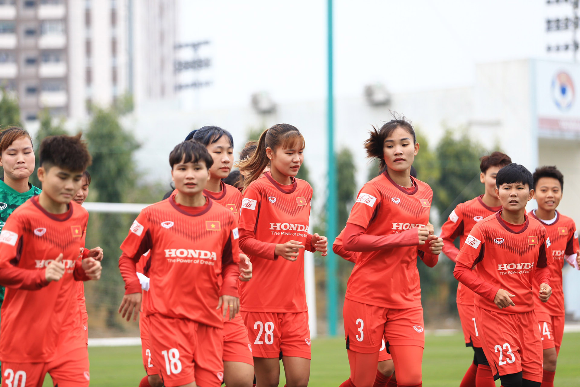 dt nu viet nam