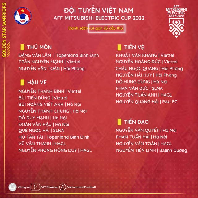 Danh sach Viet Nam AFF Cup