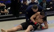 VIDEO: Cao thủ Thiếu Lâm bị võ sĩ MMA hạ gục chỉ sau...6 giây