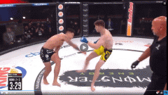 VIDEO: Võ sĩ MMA hạ gục đối thủ chỉ bằng những cú đá