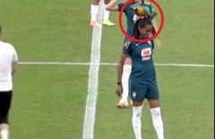 VIDEO: Trận đấu phải tạm hoãn vì cầu thủ bị chim 'làm tổ' trên đầu