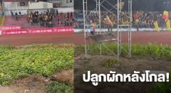 Sân Lạch Tray trồng rau, báo Thái Lan giật tít: 'V.League đang làm nông nghiệp'