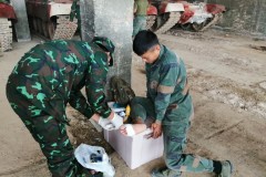 Tình cảm khăng khít giữa ĐT xe tăng Việt Nam - Lào trên thao trường Army Games 2021