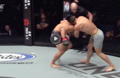 VIDEO: Sao MMA gốc Việt Martin Nguyễn knock-out võ sĩ Singapore bằng đòn khóa cổ cực hiểm