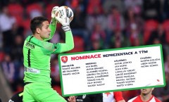 Filip Nguyễn bị gạch tên khỏi danh sách thi đấu của CH Séc