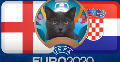 Dự đoán chuẩn xác trận Bỉ vs Nga, mèo 'tiên tri' tiếp tục trổ tài trận Anh vs Croatia
