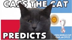 Mèo tiên tri dự đoán kết quả trận đấu Argentina và Ba Lan: Messi có được trao niềm tin?