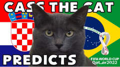 VIDEO: Mèo tiên tri dự đoán 'địa chấn' ở trận Brazil vs Croatia