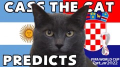 Mèo tiên tri tiếp tục dự đoán 'địa chấn' trong trận cầu giữa Argentina và Croatia