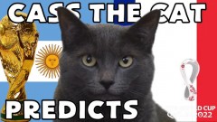 VIDEO: Mèo tiên tri dự đoán đội bóng giành cúp vàng World Cup 2022