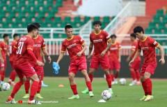 Chuyên gia châu Âu: 'Dừng V-League lâu dài để ĐT Việt Nam tập trung là quyết định điên rồ'
