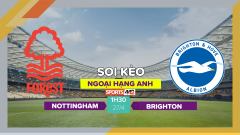 Soi kèo Nottingham Forest vs Brighton, 1h30 ngày 27/4/2023