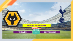 Soi kèo Wolves vs Tottenham, 19h30 ngày 11/11/2023