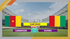 Soi kèo Cameroon vs Guinea, 0h00 ngày 16/1/2024