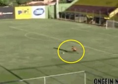 VIDEO: Sút phạt từ sân nhà, thủ môn lập siêu phẩm không tưởng ở khoảng cách 83 mét